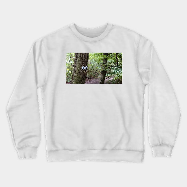 #53 Crewneck Sweatshirt by Googly Eye